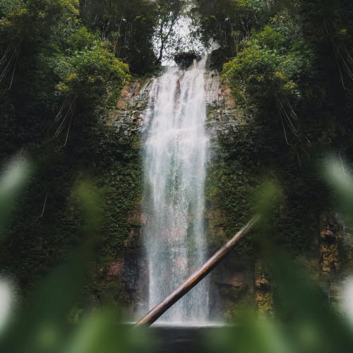 A tall waterfall flows down a lush green cliffside, framed by dense foliage in the foreground.