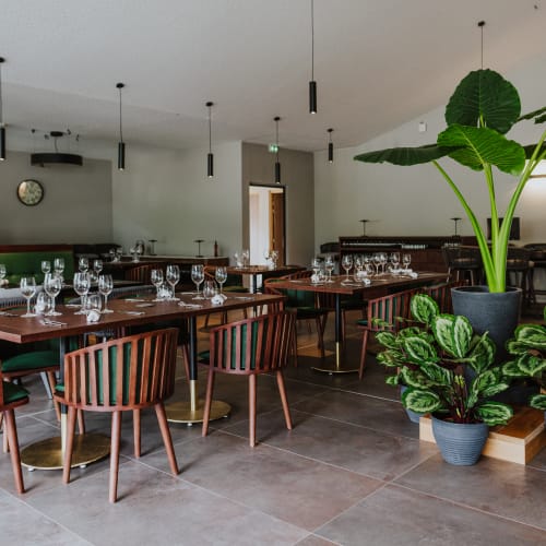 Modern restaurant dining area with wooden tables and chairs, set with wine glasses, and decorative leafy green plants in pots.