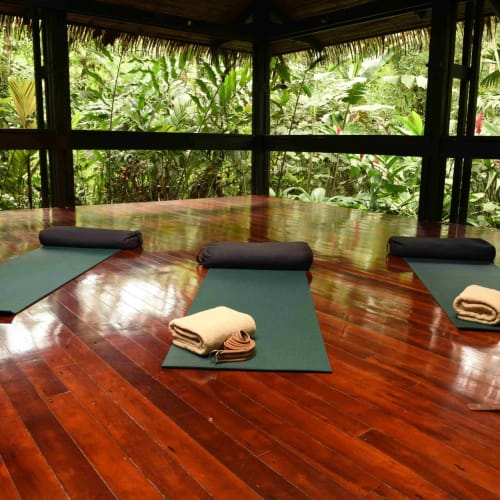 Three yoga mats with rolled towels placed on a wooden floor inside a tropical open-air pavilion.