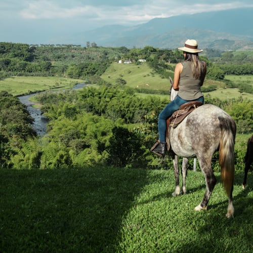 A woman wearing a hat sits on a gray horse overlooking a lush green valley with rivers and hills.