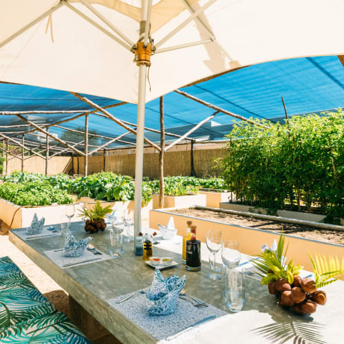 An outdoor dining area under a large umbrella with a view of a lush vegetable garden and trees.