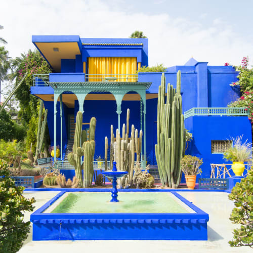 Ein lebendiges blaues Gebäude umgeben von hohen Kakteen und üppigem Grün im Majorelle-Garten in Marrakesch, Marokko.