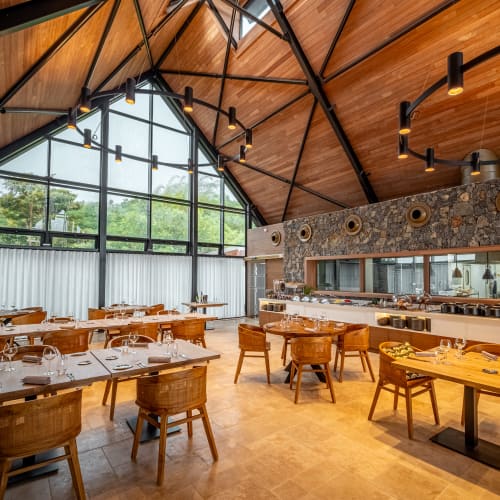 Geräumiges, modernes Restaurant mit Holzdecke und großen Fenstern mit Blick auf Grünflächen, mit ordentlich angeordneten Holztischen und -stühlen und eingedeckten Plätzen.