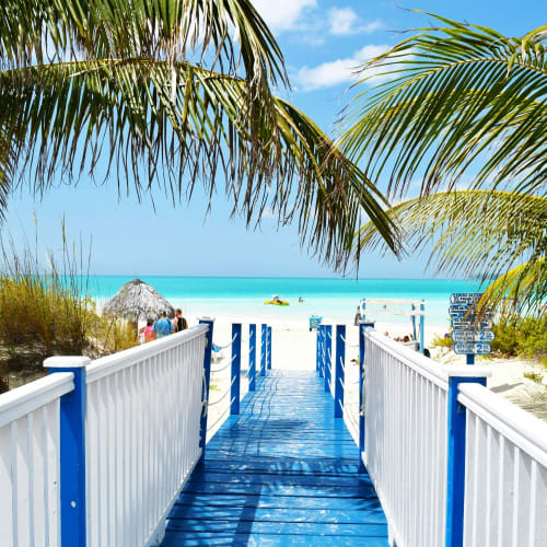 A blue wooden pathway leads to a sandy beach with palm trees and a straw hut, under a partly cloudy sky.