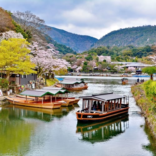 Boote treiben auf dem Fluss in Arashiyama, Kyoto, im Frühling mit blühenden Kirschblüten und Bergen im Hintergrund.