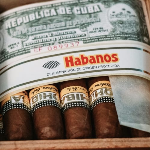 A close-up of a box of Cuban cigars with a Cuban dollar bill tucked inside the lid.