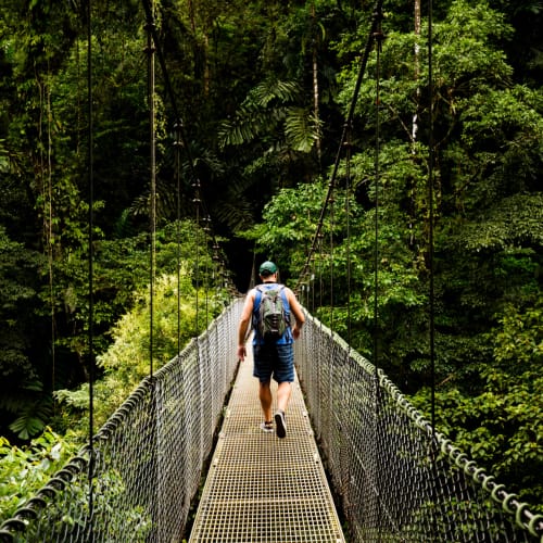 A person with a backpack crosses a narrow suspension bridge over a lush forest.