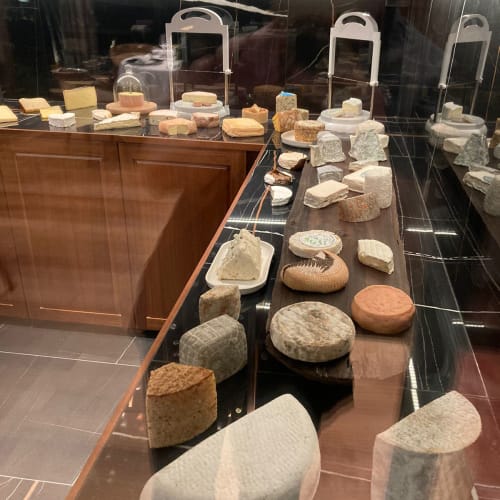 Verschiedene handwerkliche Käsesorten auf einer reflektierenden Theke in einem Käseladen mit Holzregalen, die Weinflaschen halten.