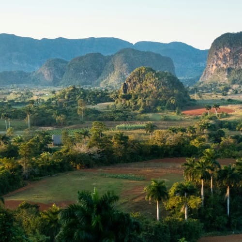 A lush, green landscape with rolling fields, palm trees, and rocky hills in the background under a clear sky.