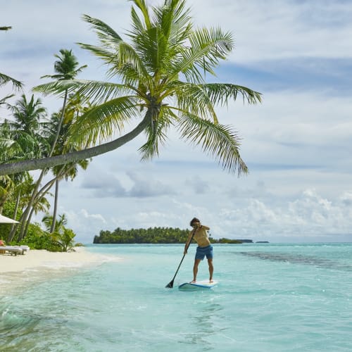 A person paddling on a stand-up paddleboard in clear turquoise water near a tropical beach with palm trees.