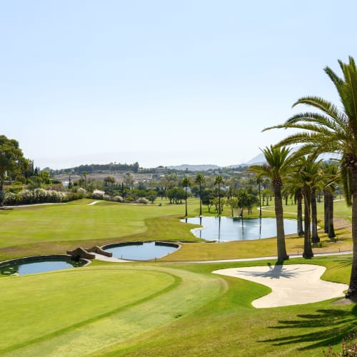 A lush golf course with palm trees, water hazards, and clear skies, likely located in a warm climate.