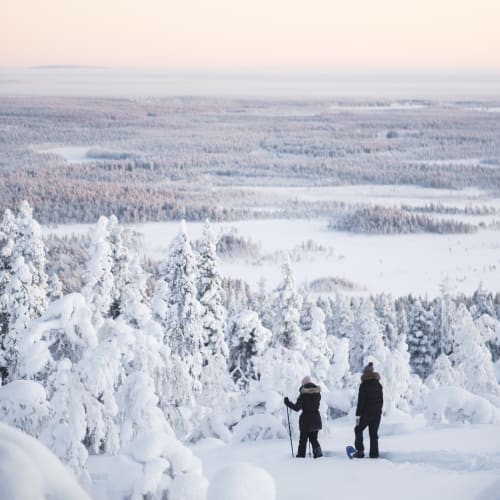 Zwei Personen beim Schneeschuhwandern durch eine weite verschneite Waldlandschaft mit schneebedeckten Bäumen unter einem blassen Himmel bei Sonnenaufgang oder Sonnenuntergang.