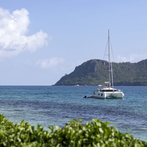 Eine weiße Katamaran vor einer grünen Insel unter einem klaren blauen Himmel mit einigen Wolken, mit grünem Laub im Vordergrund.