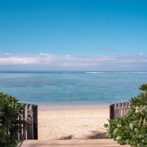 Holzweg zwischen grünen Büschen, der zu einem sandigen Strand mit ruhigem, blauem Ozeanwasser unter klarem, hellem Himmel führt.