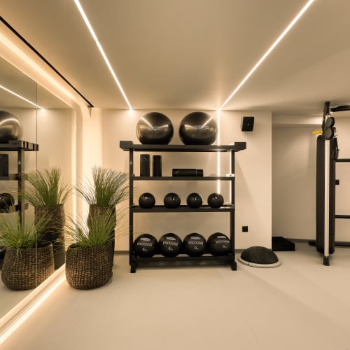 Ein sauberer, moderner Fitnessraum mit Regalen, die schwarze Gymnastikbälle und Kettlebells halten, zwei geflochtene Körbe mit hohen grünen Pflanzen, eine Spiegelwand und Fitnessgeräte auf der rechten Seite.