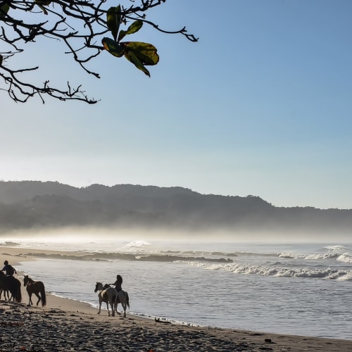 Pferde mit Reitern stehen an einem nebligen Strand mit Wellen und Bergen im Hintergrund