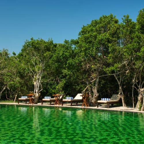 A swimming pool with green tiles surrounded by lush green trees and several lounge chairs with striped cushions underneath the shade of the trees.