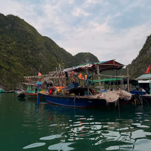 Fishing boats docked in calm water surrounded by green mountainous landscapes under a cloudy sky in Halong Bay, Vietnam.