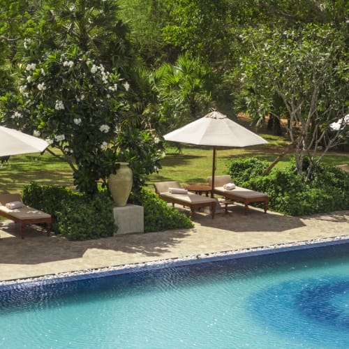 Liegestühle mit Sonnenschirmen neben einem Pool, umgeben von Bäumen und grüner Vegetation.