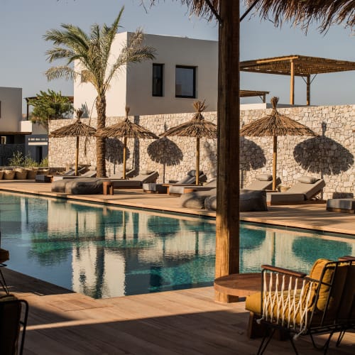 Moderner Außenpoolbereich mit Liegestühlen und Palmen in einem Hotel oder Resort, im Schatten einer überdachten Terrasse mit Holzmöbeln.