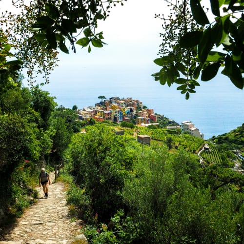 A person hiking down a stone path surrounded by lush greenery with a view of colorful houses on a cliff overlooking the sea in Cinque Terre, Italy.