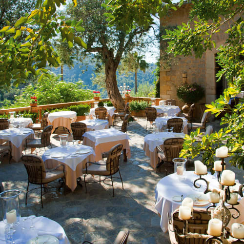 Outdoor restaurant setup with white tablecloths and wicker chairs under lush green trees in a scenic garden setting.