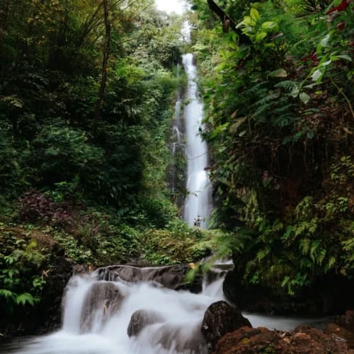 Üppiger grüner Dschungel umgibt einen hohen, mehrstufigen Wasserfall mit Wasser, das über Felsen inmitten dichter Vegetation herabfließt.
