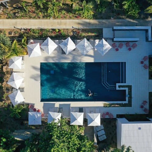 Vogelperspektive eines rechteckigen Außenpools, umgeben von weißen Sonnenschirmen, Liegestühlen und tropischer Vegetation.
