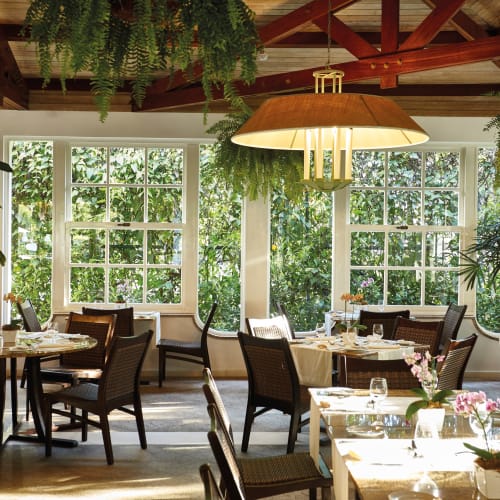 Elegant restaurant interior with large windows overlooking lush greenery, decorated with hanging plants and natural light.