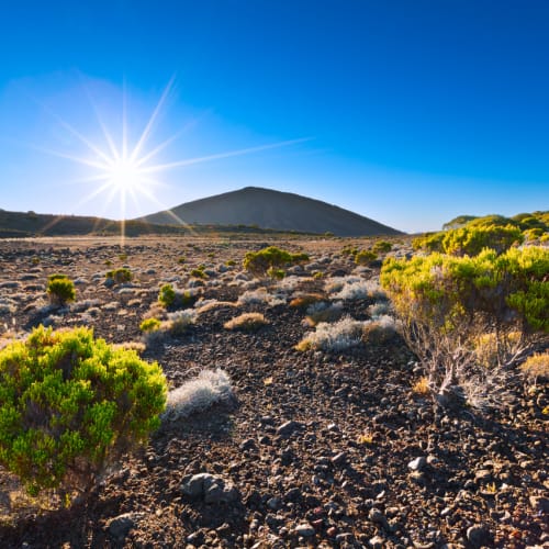 Bright sun shining over a rocky volcanic landscape with scattered green bushes and a mountain silhouette in the background under a clear blue sky.