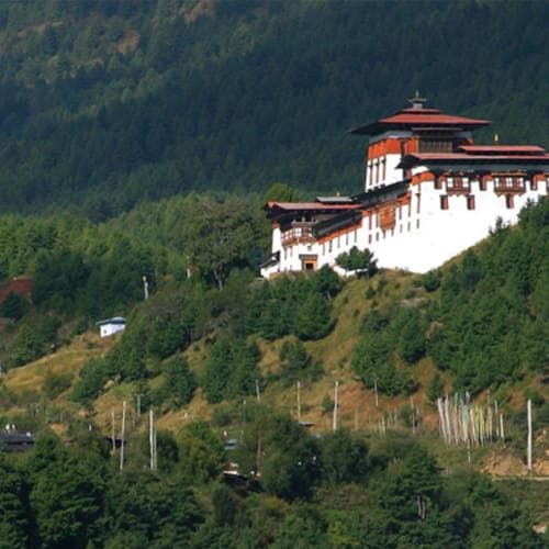 Ein traditionelles bhutanisches Kloster mit weißen Wänden und roten Dächern auf einem grünen Hügel.