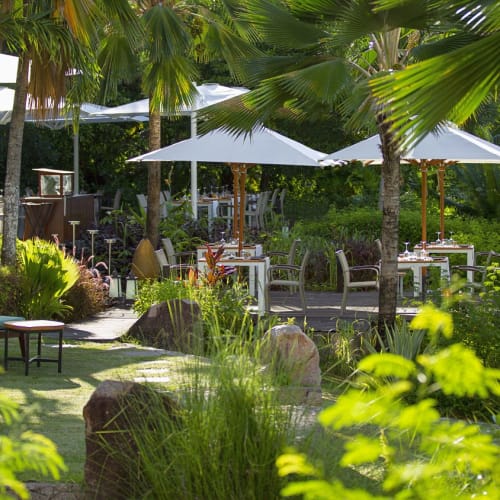Außenbereich mit Sitzgelegenheiten in einer tropischen Gartenanlage mit weißen Sonnenschirmen, gepolsterten Stühlen und üppigen grünen Palmen als Umgebung.