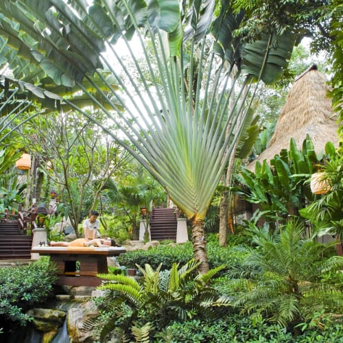A tropical outdoor spa setting with lush greenery, large fan-shaped palm leaves, and a thatched roof hut in the background. A person receives a massage on a wooden table surrounded by dense vegetation and stairways.