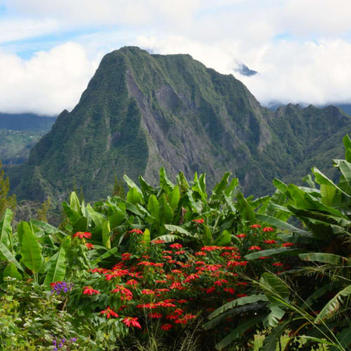 Lush green vegetation with red flowers in the foreground and a large mountain partially covered with clouds in the background at Talkessel Salazie.