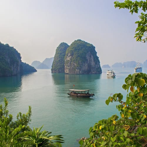 Grüne Kalksteininseln in der ruhigen Halong-Bucht in Vietnam mit mehreren Booten auf dem Wasser und Pflanzen im Vordergrund.