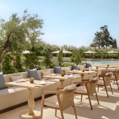 Ein Außenbereich eines Restaurants mit einer Reihe von Tischen und Stühlen, beschattet von Sonnenschirmen, umgeben von Bäumen und Grünflächen.