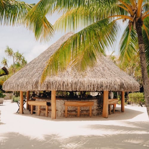 Eine tiki-Bar mit Strohdach, umgeben von Palmen am Sandstrand.
