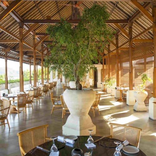 Elegantes Restaurantinnere mit Holzträgern und großer Topfpflanze in der Mitte, Blick auf eine grüne Außenansicht.