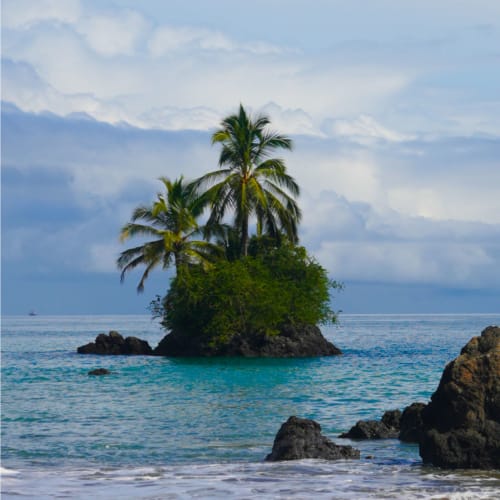 A small tropical island with palm trees is surrounded by the ocean with a cloudy sky above.