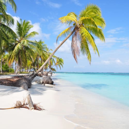Tropischer Strand mit schrägen Palmen auf weißem Sand und türkisfarbener See unter einem teils bewölkten Himmel.