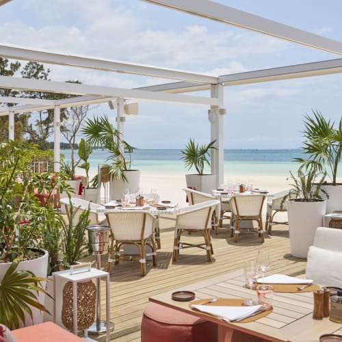 Elegantes Open-Air-Restaurant mit Blick auf einen Sandstrand, umgeben von Topfpflanzen und moderner Einrichtung.