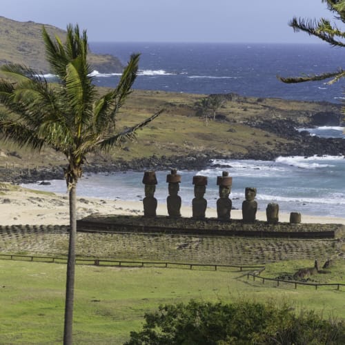 Several moai statues stand on a platform overlooking the ocean, with palm trees and green grass in the foreground on Easter Island.