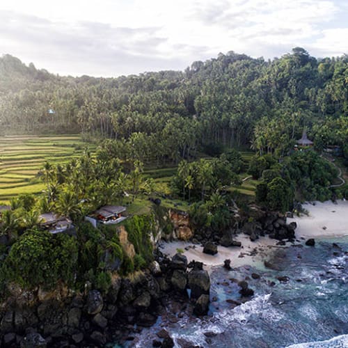 A lush green coastal landscape with rice terraces, trees, and a small beach along the ocean.