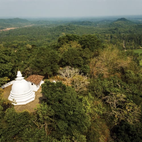Weißer Stupa und Tempelgebäude umgeben von dichtem grünen Wald mit Blick auf eine weite hügelige Landschaft.