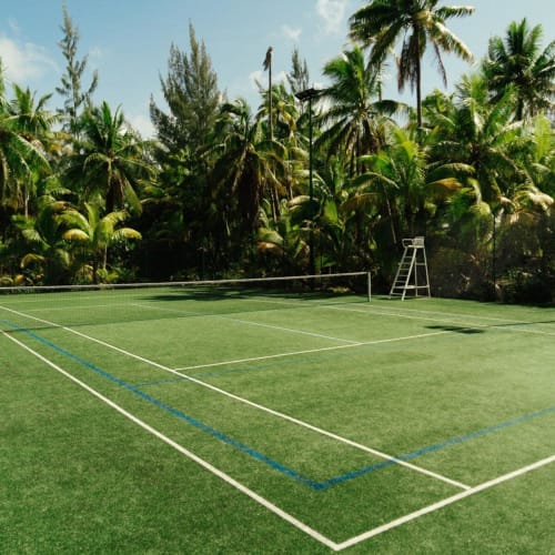 A tennis court surrounded by dense tropical greenery including palm trees, with a clear sky overhead.