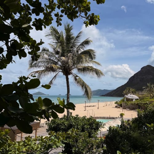 View through lush foliage on a tropical beach with a tall palm tree, turquoise ocean, sandy shore with volleyball nets, and a mountain in the background under a partly cloudy sky.