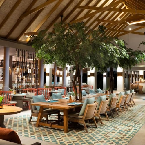 Ein Innenrestaurant mit einem großen zentralen Baum, umgeben von Tischen und Stühlen in einer geräumigen, gut beleuchteten Umgebung.