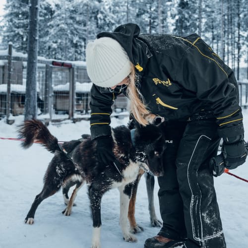Person in Winterkleidung und weißer Mütze beugt sich herunter, um einen schwarz-weißen Hund in einer verschneiten Außenumgebung mit Bäumen und umzäuntem Bereich im Hintergrund zu streicheln.
