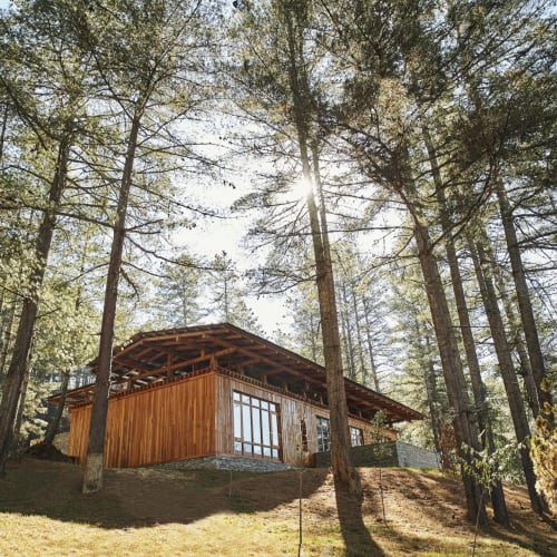 A wooden villa with large glass doors surrounded by tall trees in a forested area, sunlight filtering through the leaves.