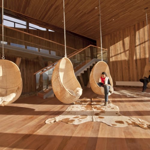 Moderner Lounge-Bereich mit geflochtenen hängenden Stühlen, holzvertäfelten Wänden und Sonnenlicht, das durch die Fenster strömt.